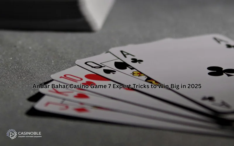 andar bahar casino game